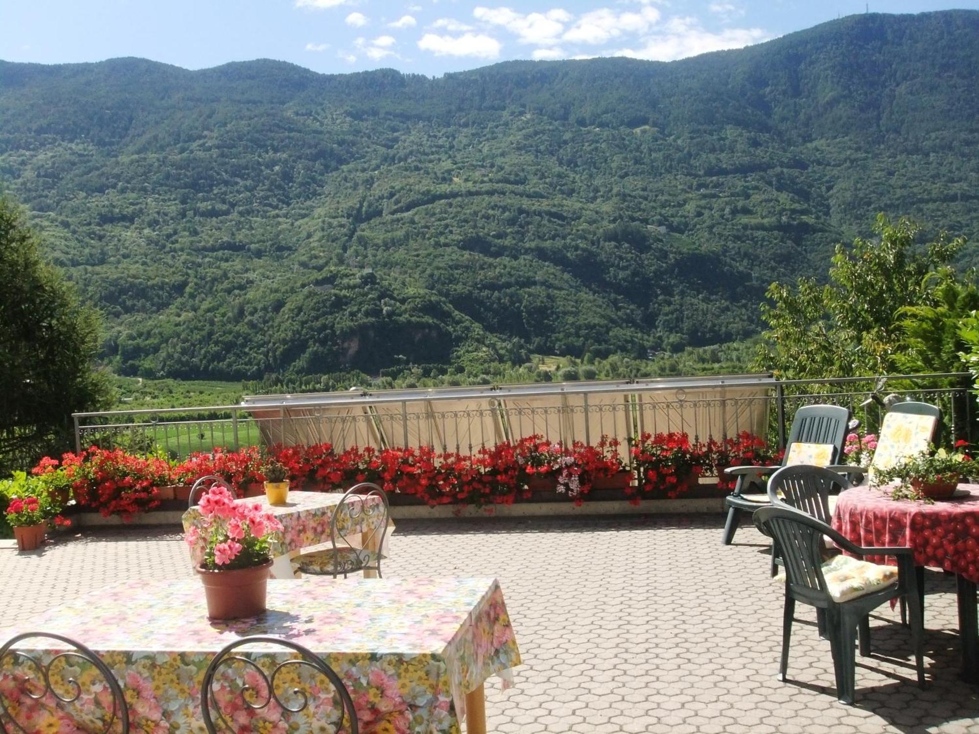 B&B Il Grappolo Bianzone Exterior photo