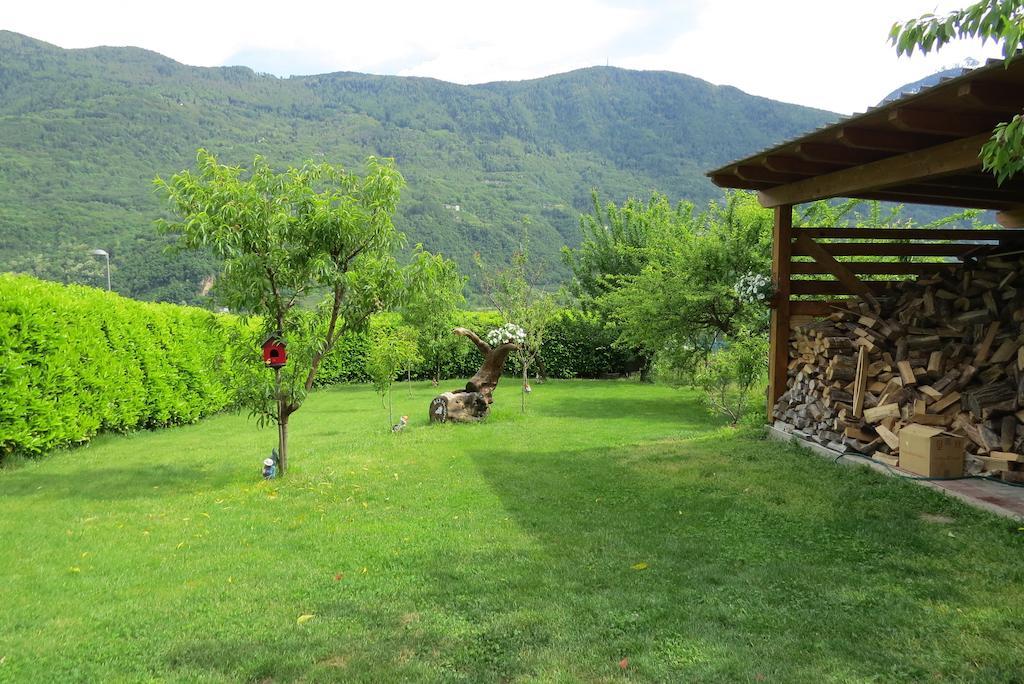 B&B Il Grappolo Bianzone Exterior photo